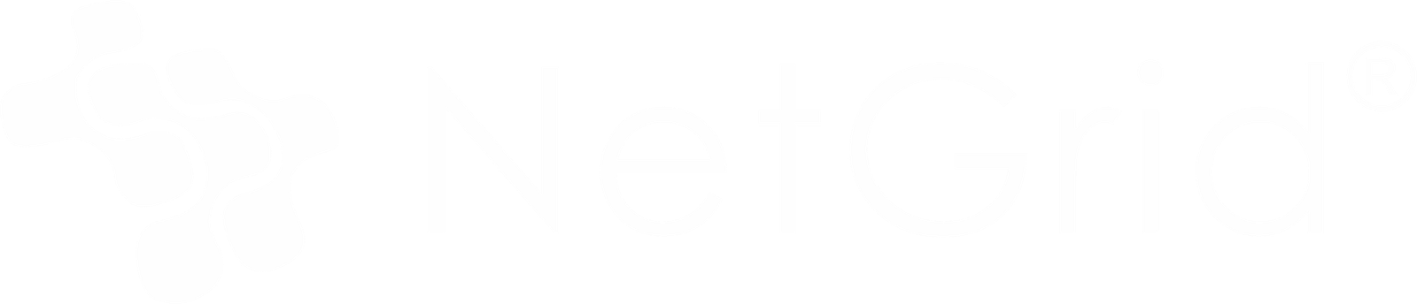 NetGrid